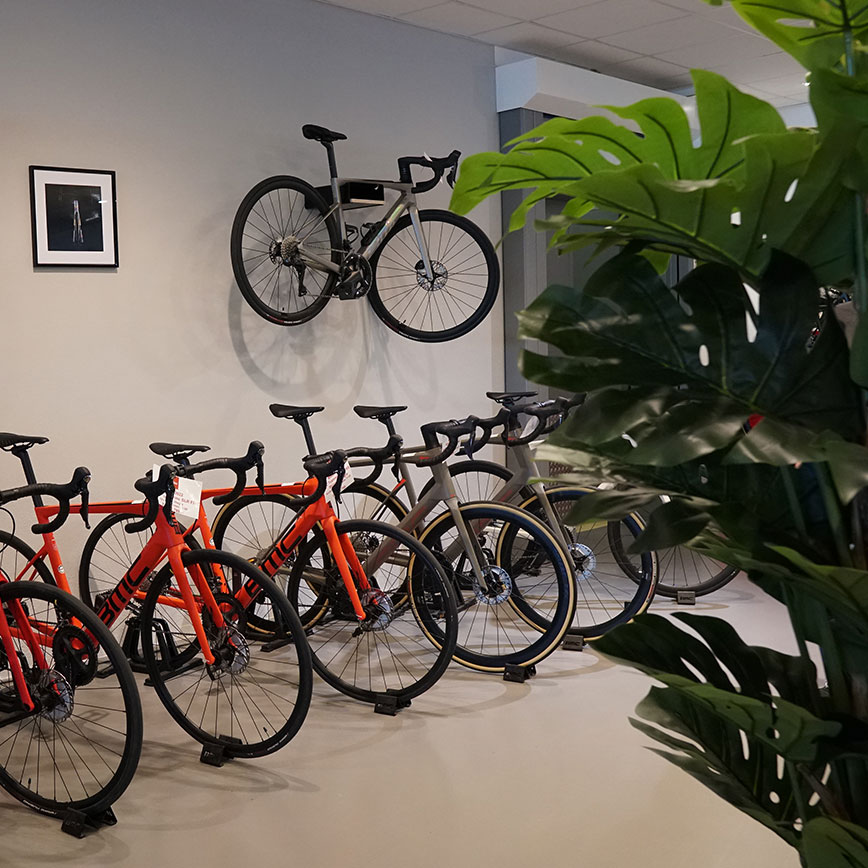 Wand voller Fahrräder, daneben eine grüne Pflanze – Teil eines Showrooms.