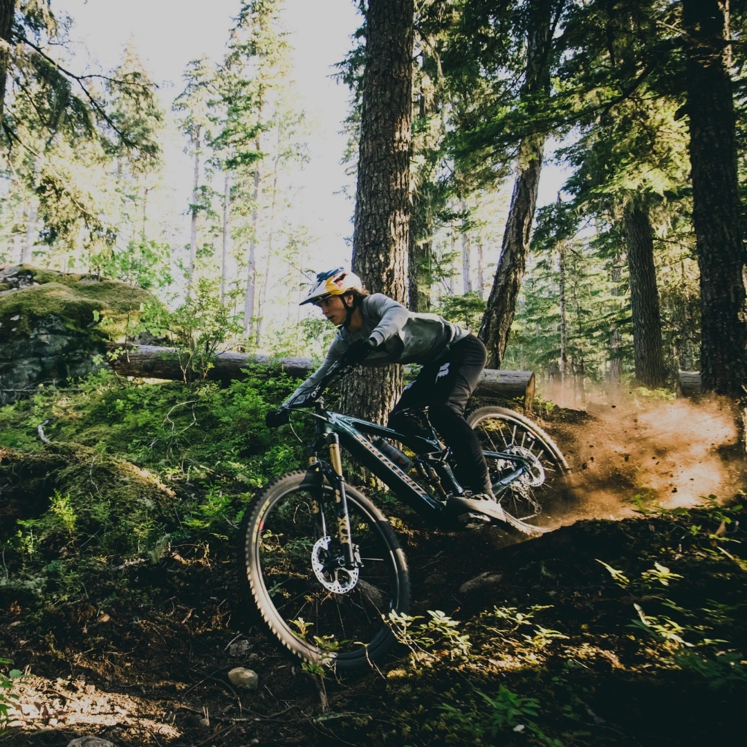 Santa Cruz E-Fully´s Mountainbiker fährt technisch anspruchsvollen Trail durch einen schattigen Wald.