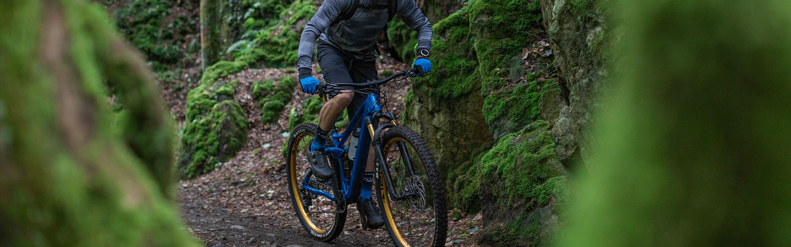 Fahrradfahrer im Wald mit Blauem Bike und Goldenen Felgen