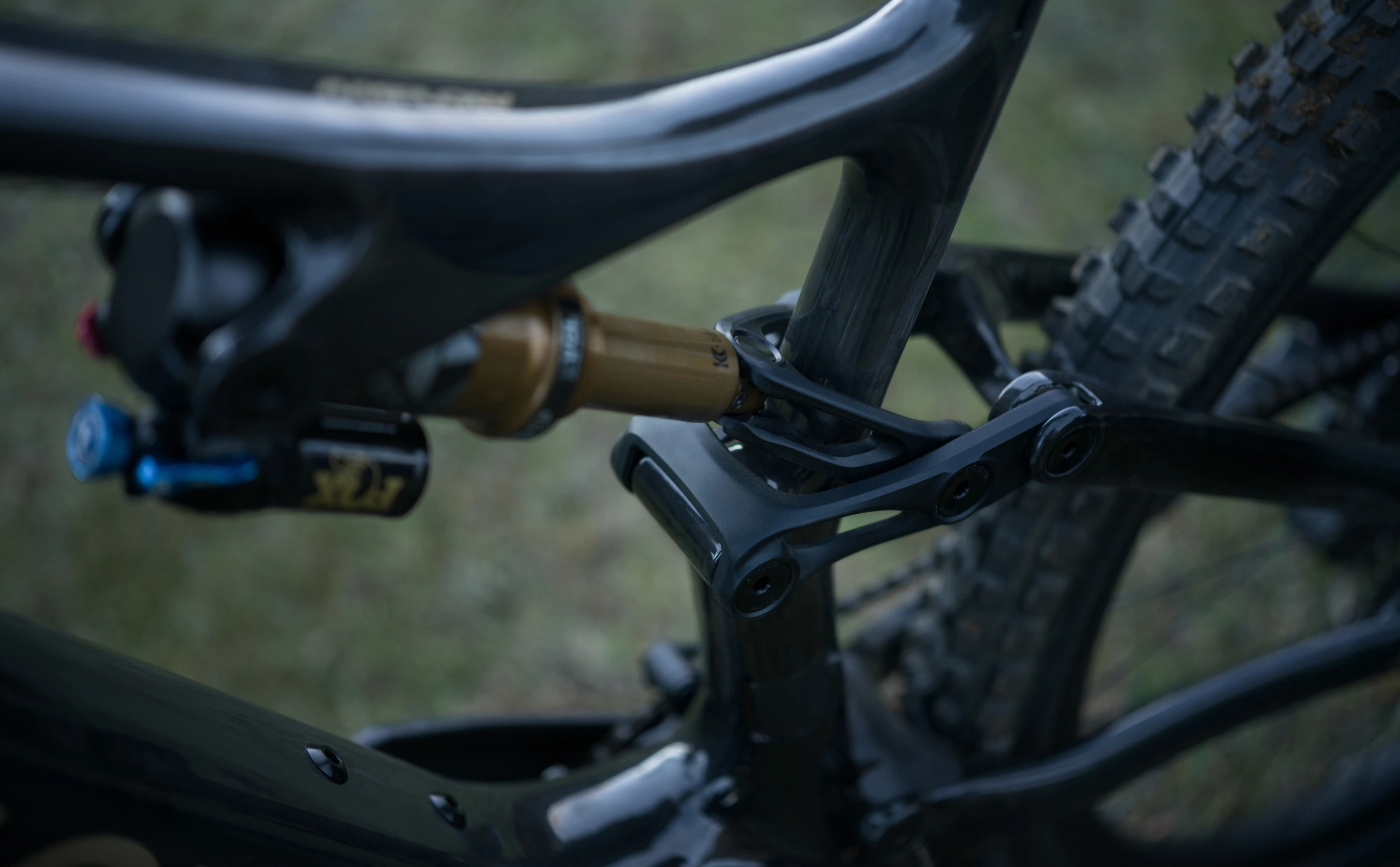 Amflow-PL-Carbon-Dampfer-Detailshot